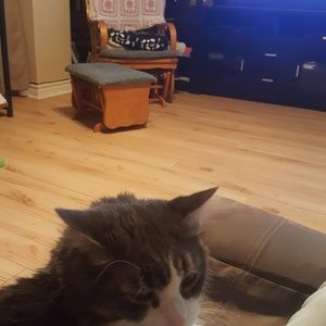 Meet your Posher, Tracy